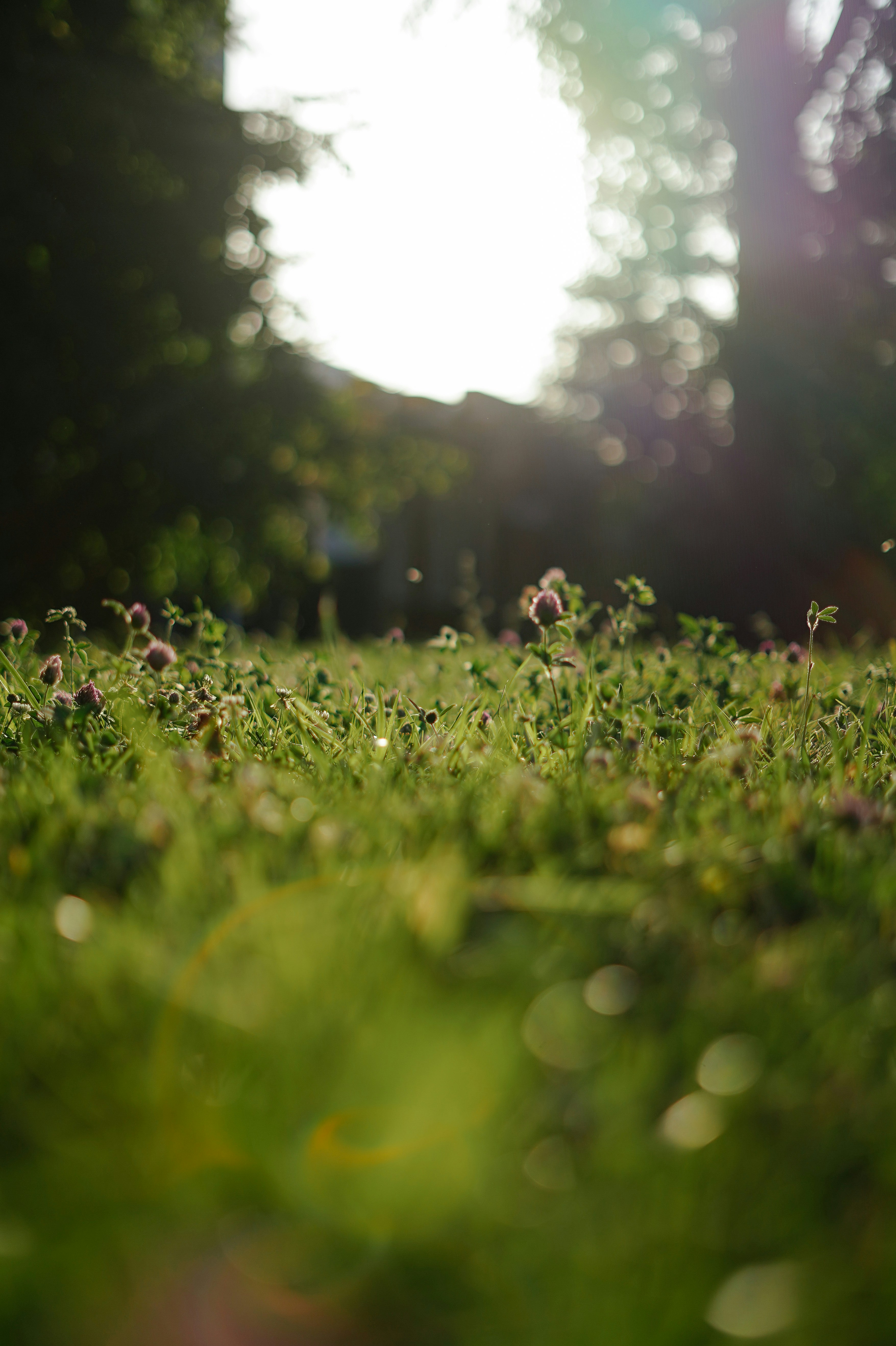 Photo by albina___white