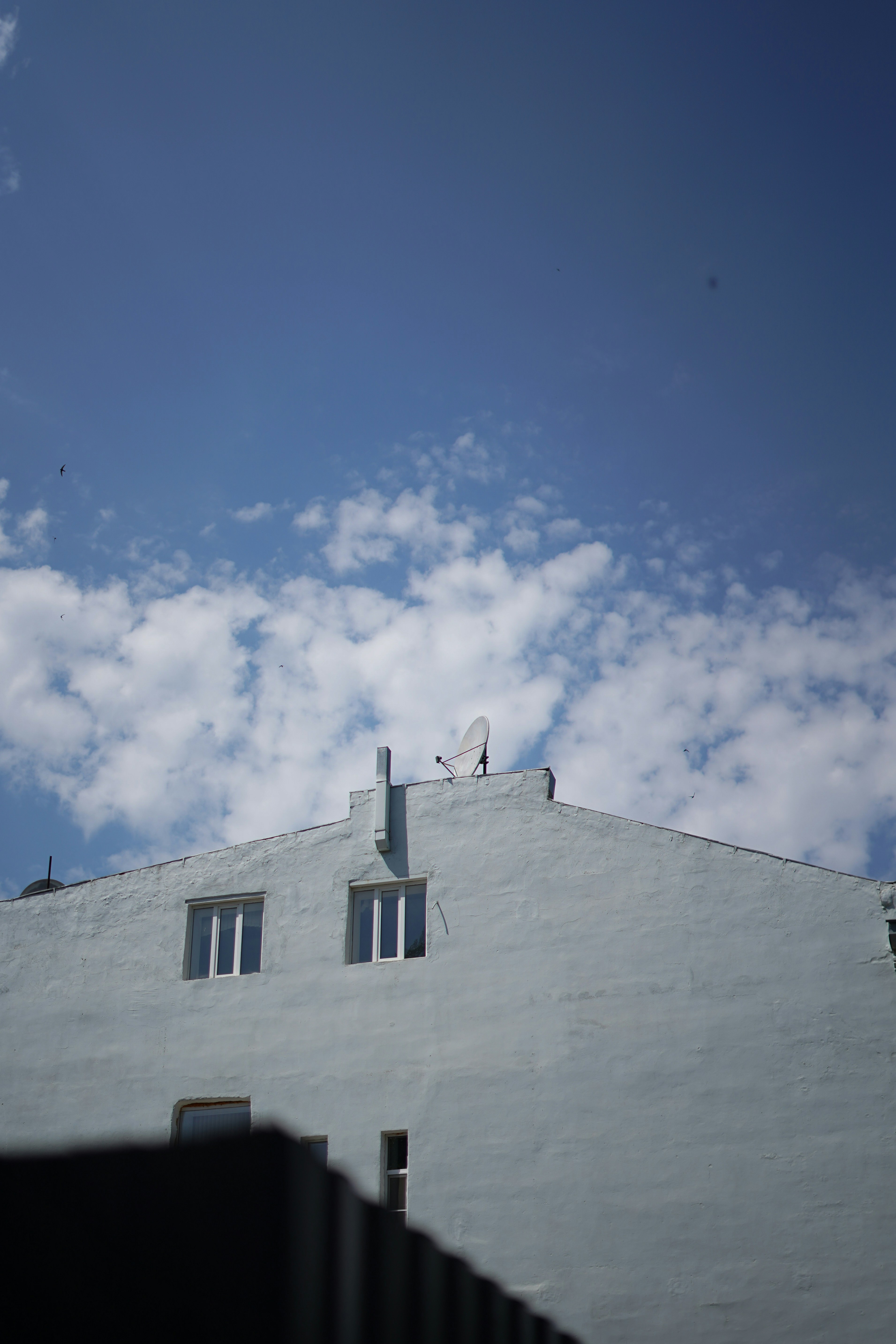 Photo by albina___white