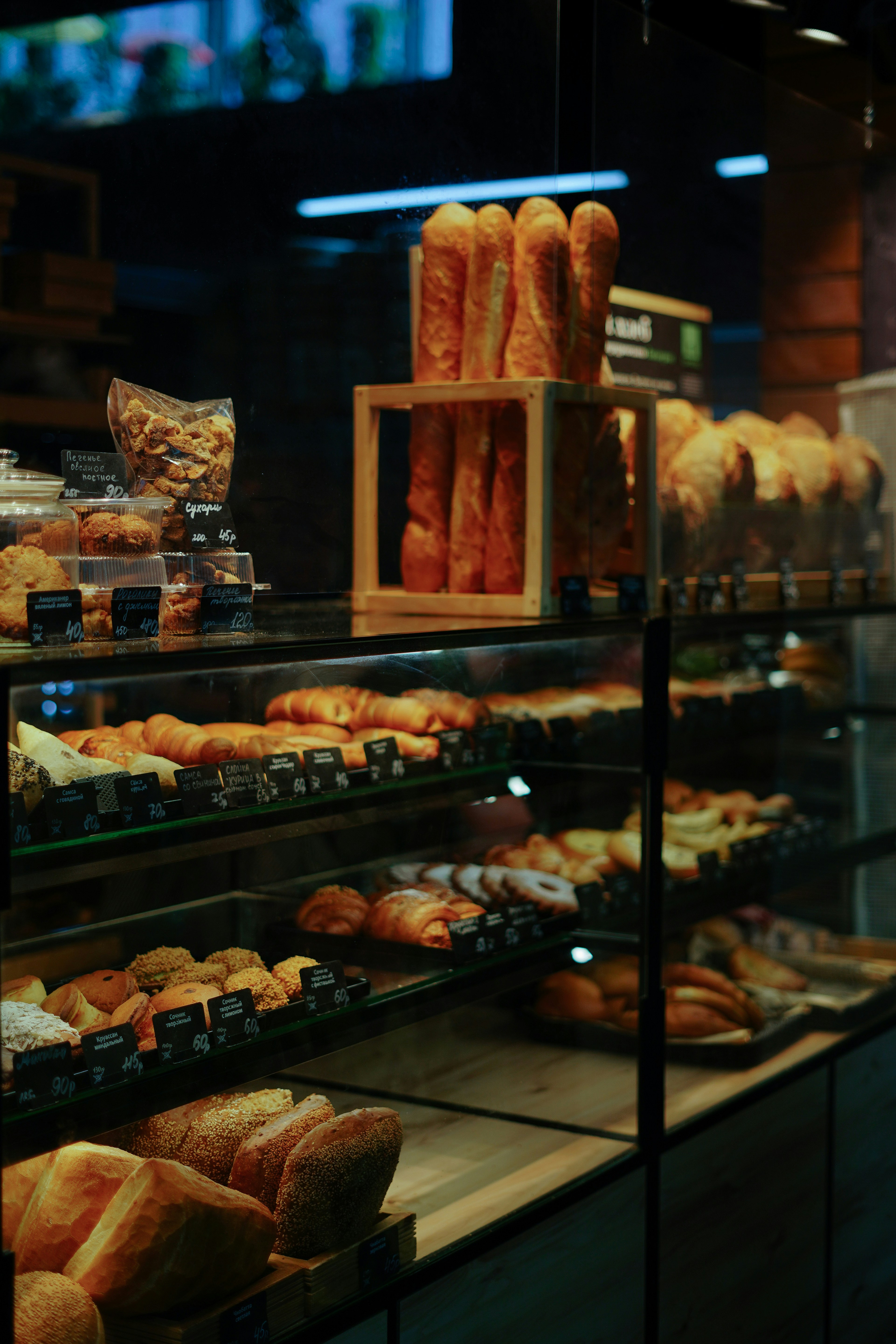 Photo by albina___white