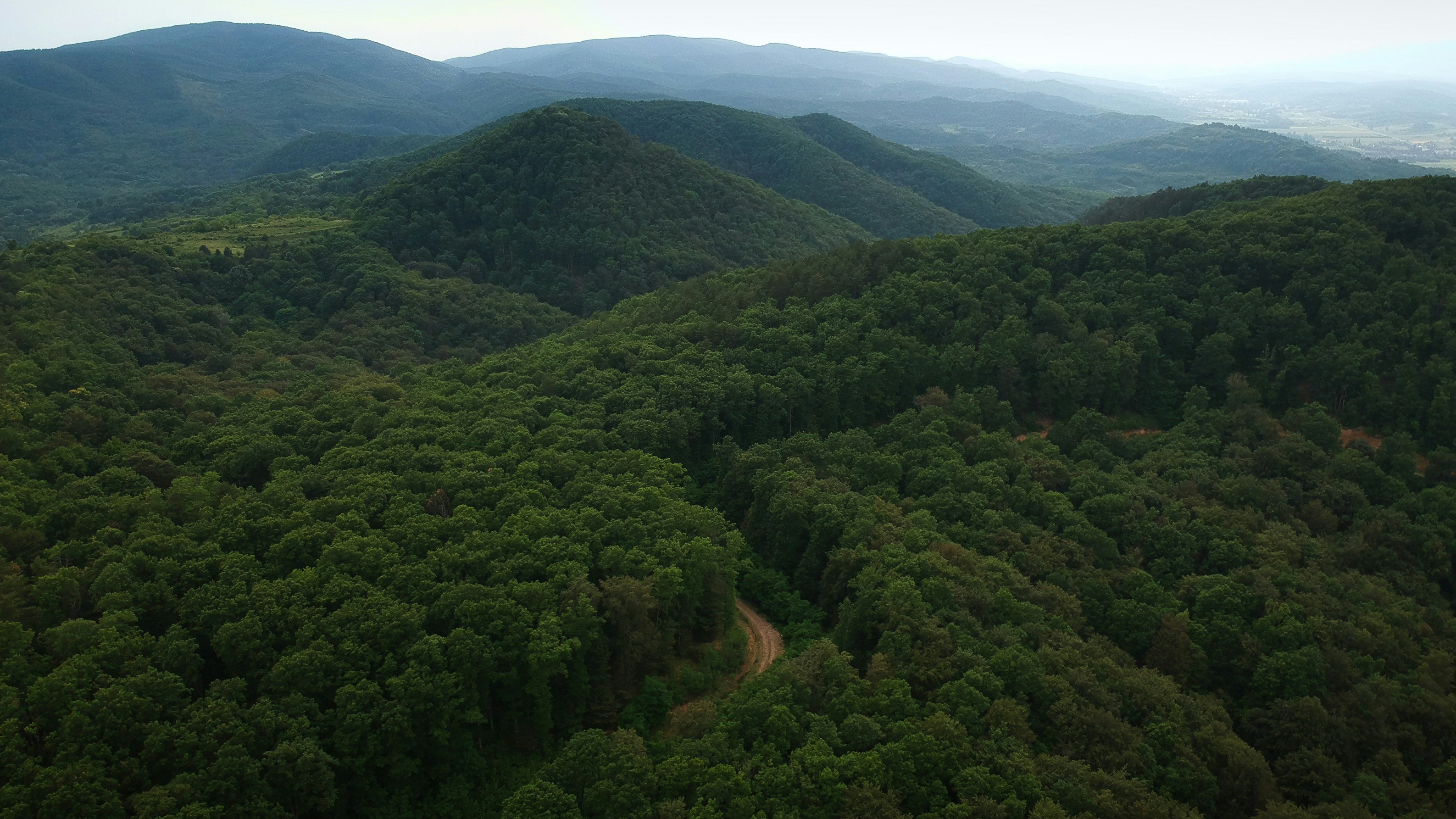 Photo by vjeblackbirdlion