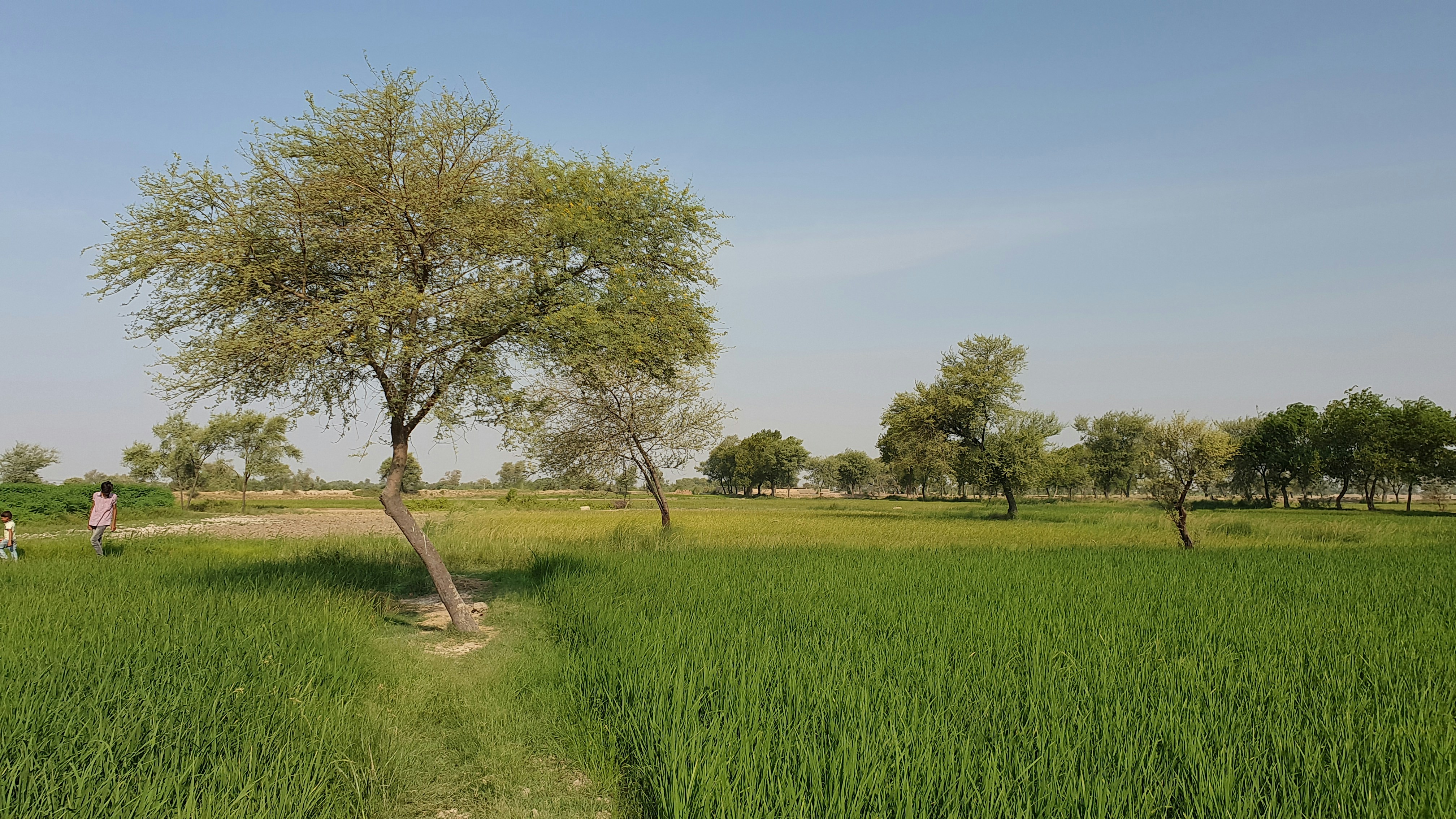 Photo by sajjadahmadtalha