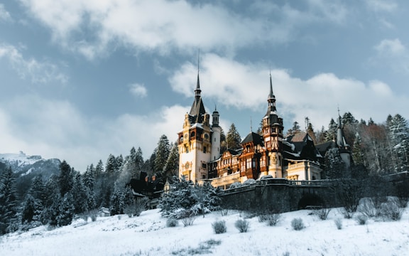 a castle in the snow with Peleș Castle in the background