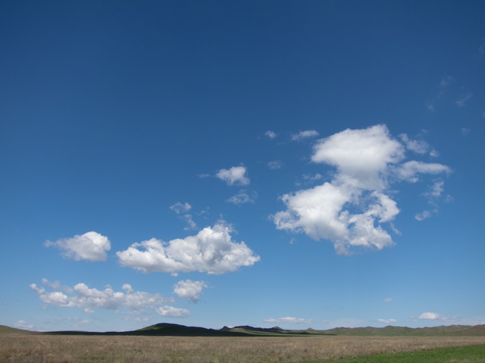 a field with blue sky and clouds