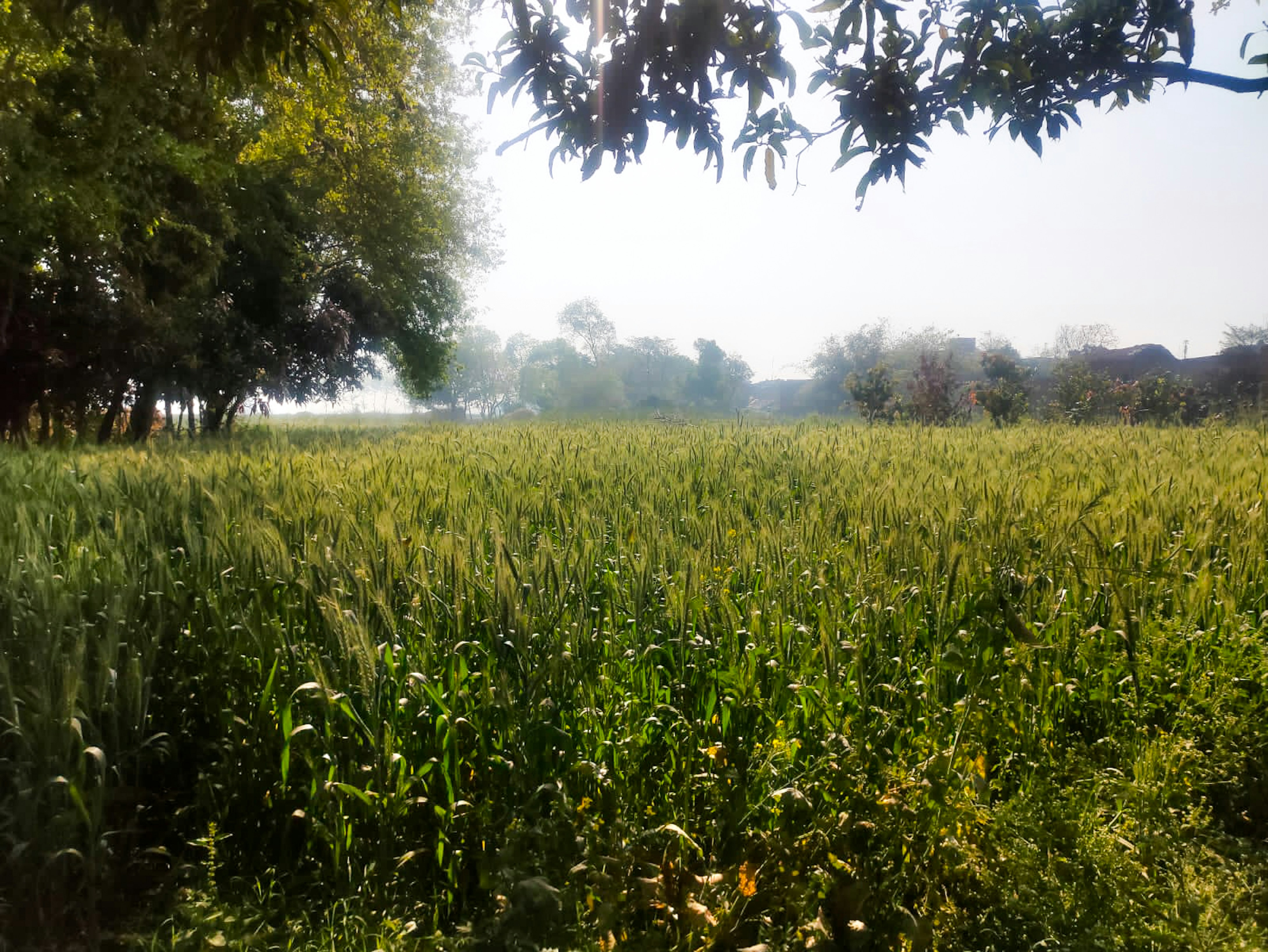 Photo by aryaveeer