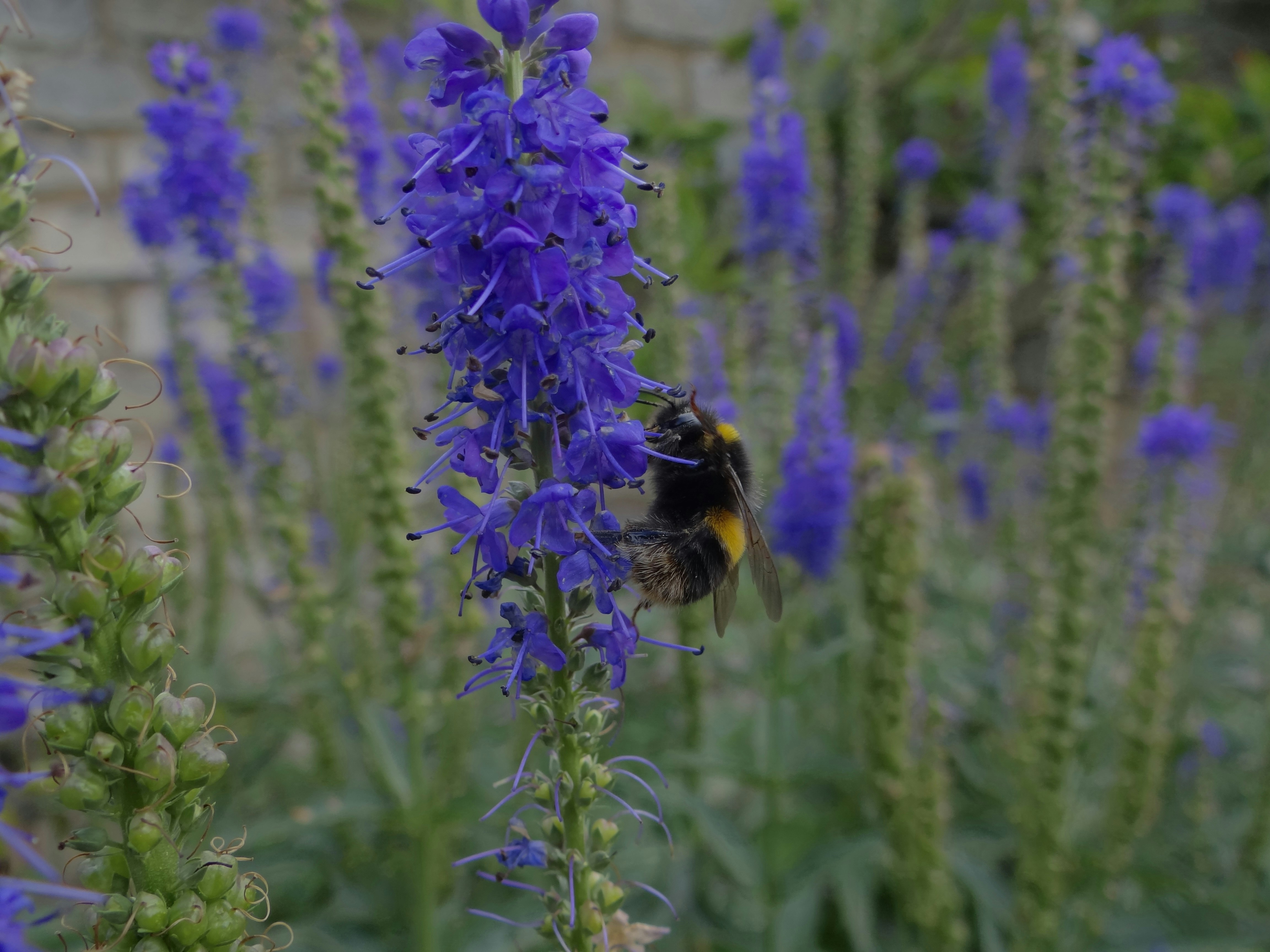 Photo by julia_fiander