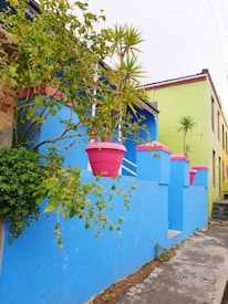 A vibrant street view of La Réunion with colorful houses and lush greenery.