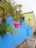 A vibrant urban scene featuring colorful houses with blue and green walls, accented by pink planters. Lush green plants and palm trees enhance the lively atmosphere, with a narrow concrete path adding depth.
