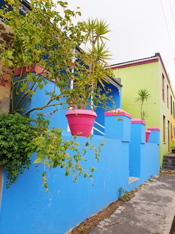 A vibrant street view of La Réunion with colorful houses and lush greenery.
