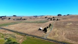 A panoramic view of rolling fields under a wide open sky, showcasing the farm’s expanse.