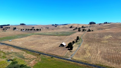 A panoramic view of rolling fields under a wide open sky, showcasing the farm’s expanse.