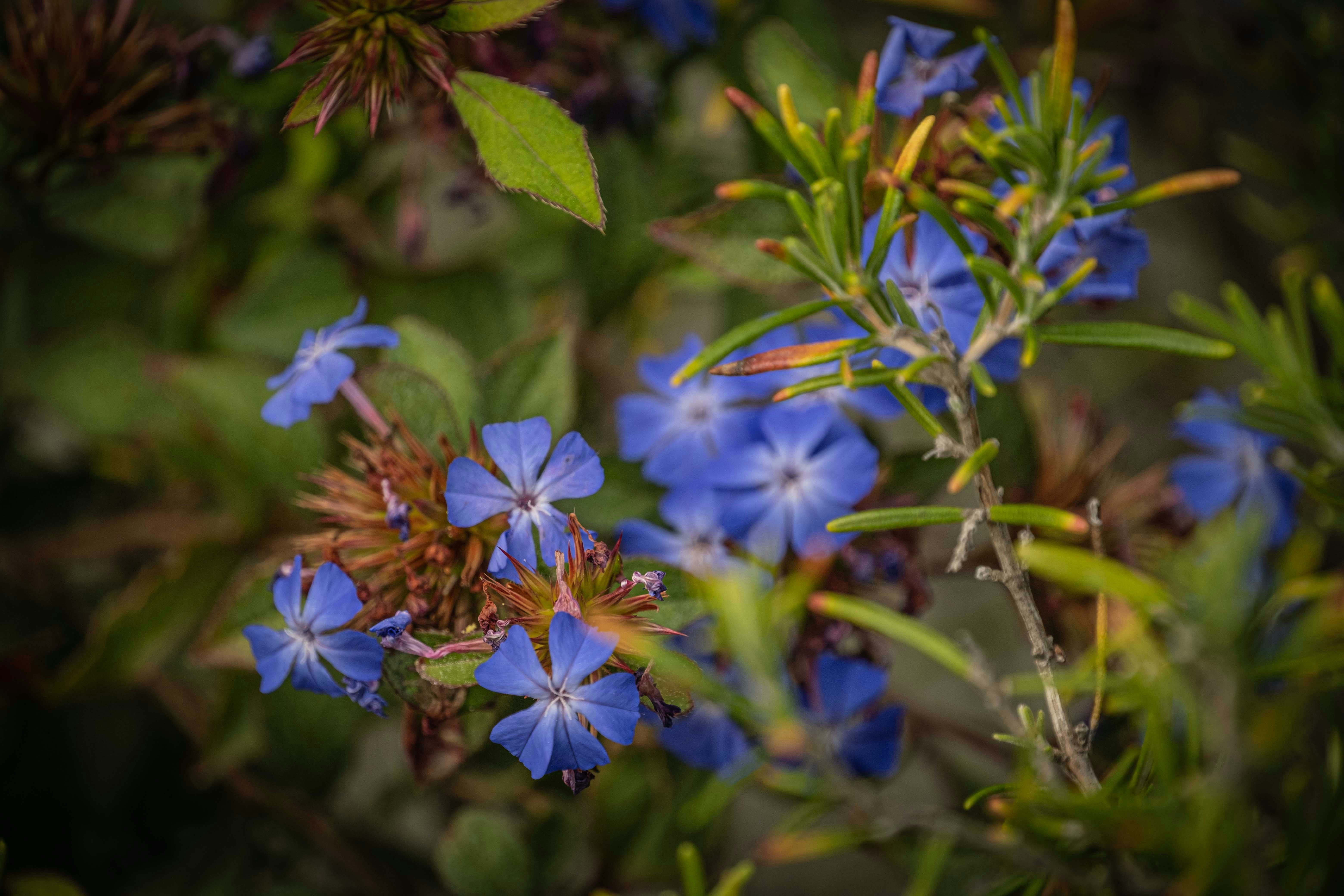 Photo by francesco_ungaro