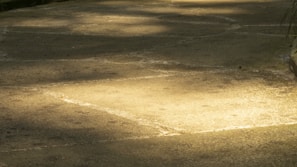 A smooth, polished concrete patio with a subtle sheen reflecting the afternoon sun