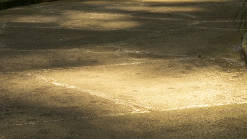 Close-up of a sleek, freshly poured concrete driveway with sharp edges and a smooth finish under soft evening light.