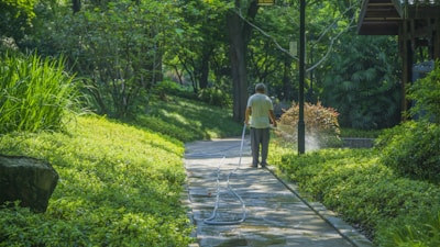 An older man is watering plants along a garden pathway using a hose. The scene is lush with greenery, and the morning light filters through the trees, creating a peaceful atmosphere. The garden appears well-maintained, with neatly trimmed bushes and small trees surrounding the path.