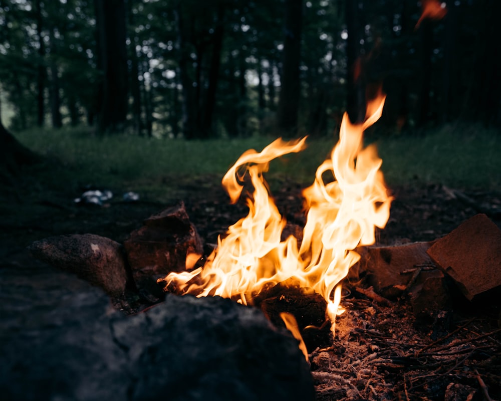 Ein Feuer im Wald