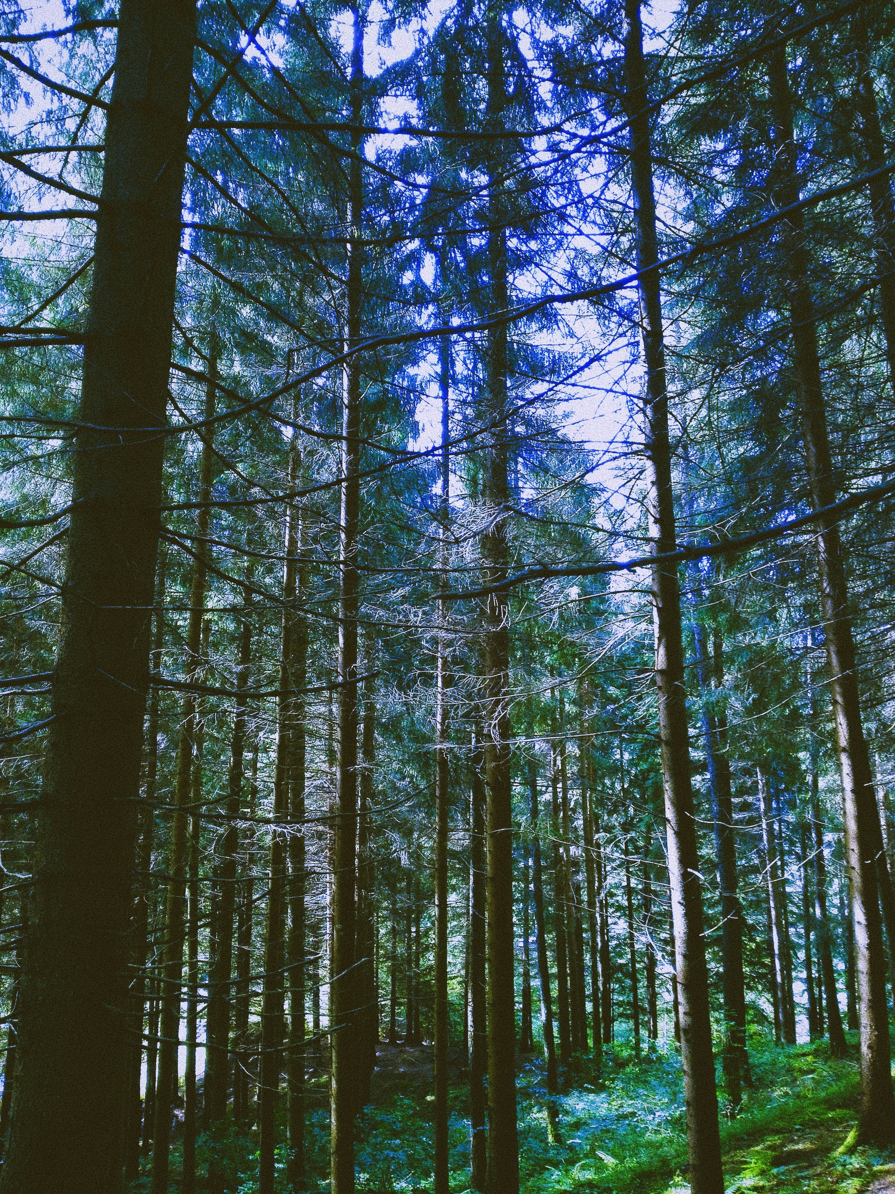 Photo by enricofumagalli