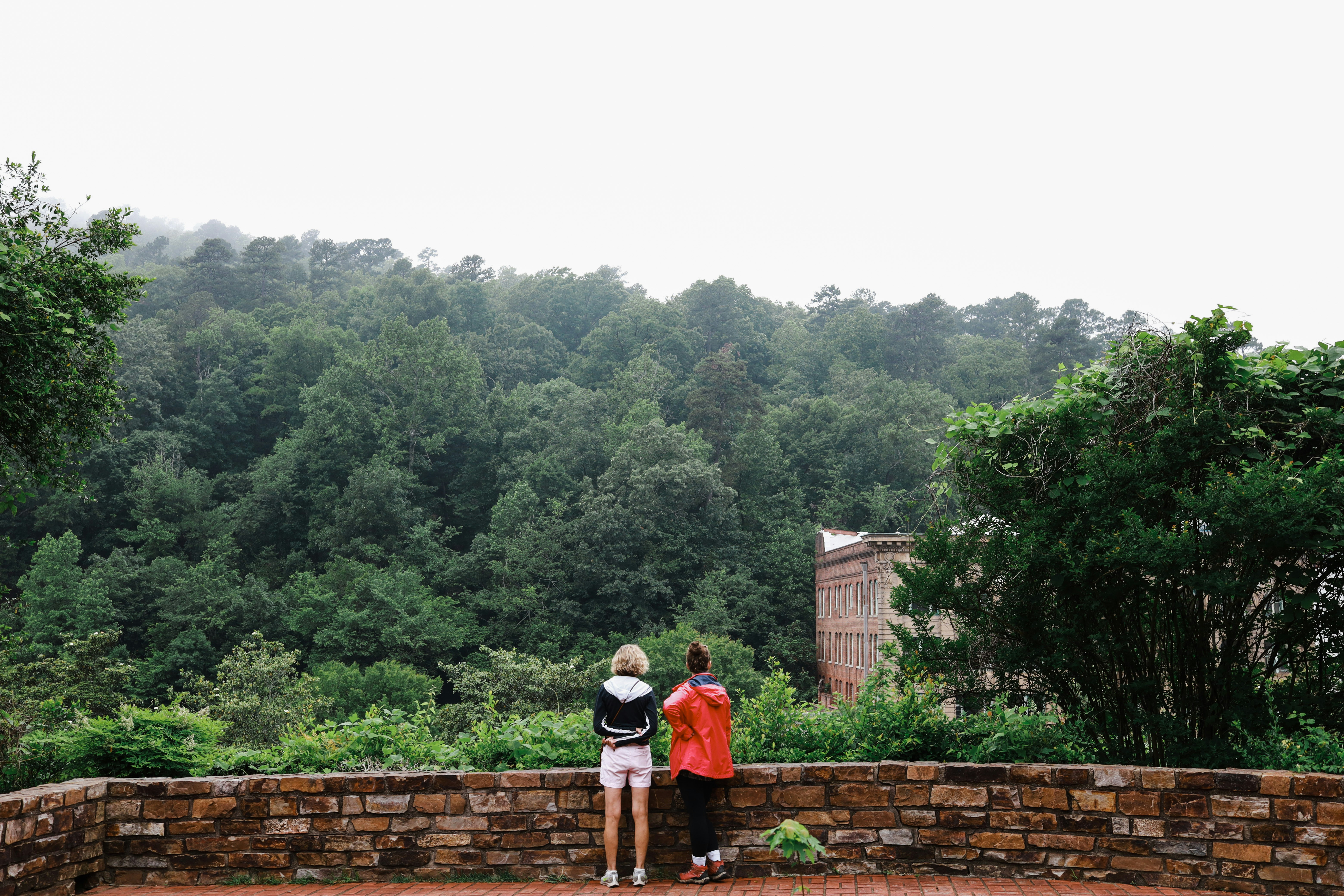 a person standing next to a forest