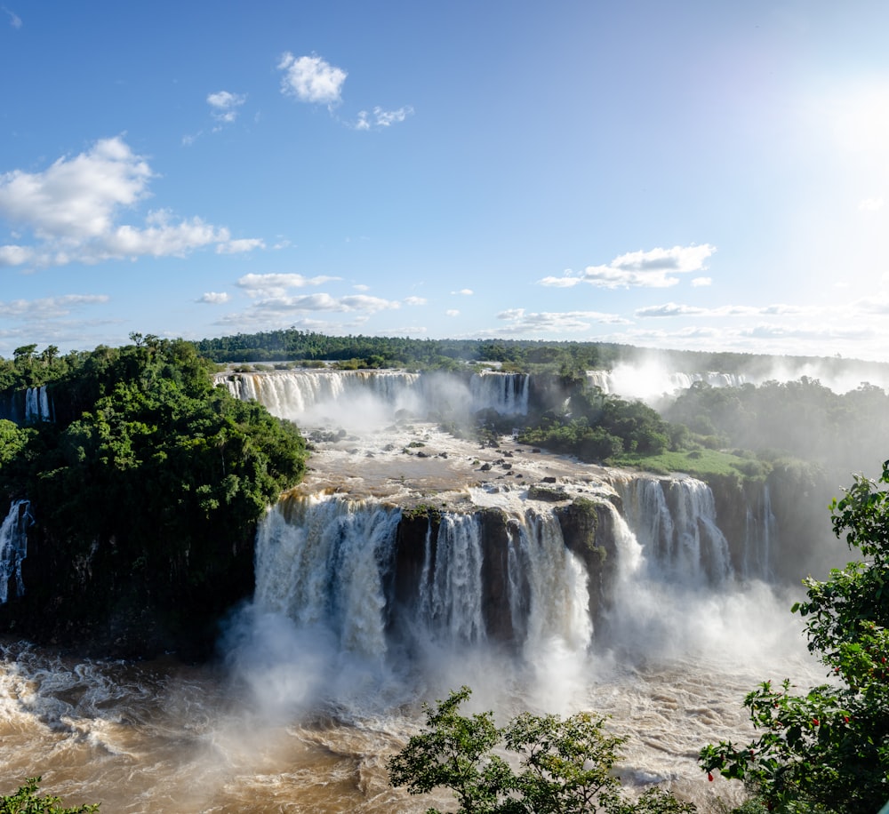 Iguazu Falls with trees and bushes