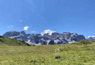 Green pasture land bordered by mountains under a clear sky.