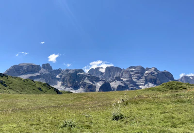 Green pasture land bordered by mountains under a clear sky.
