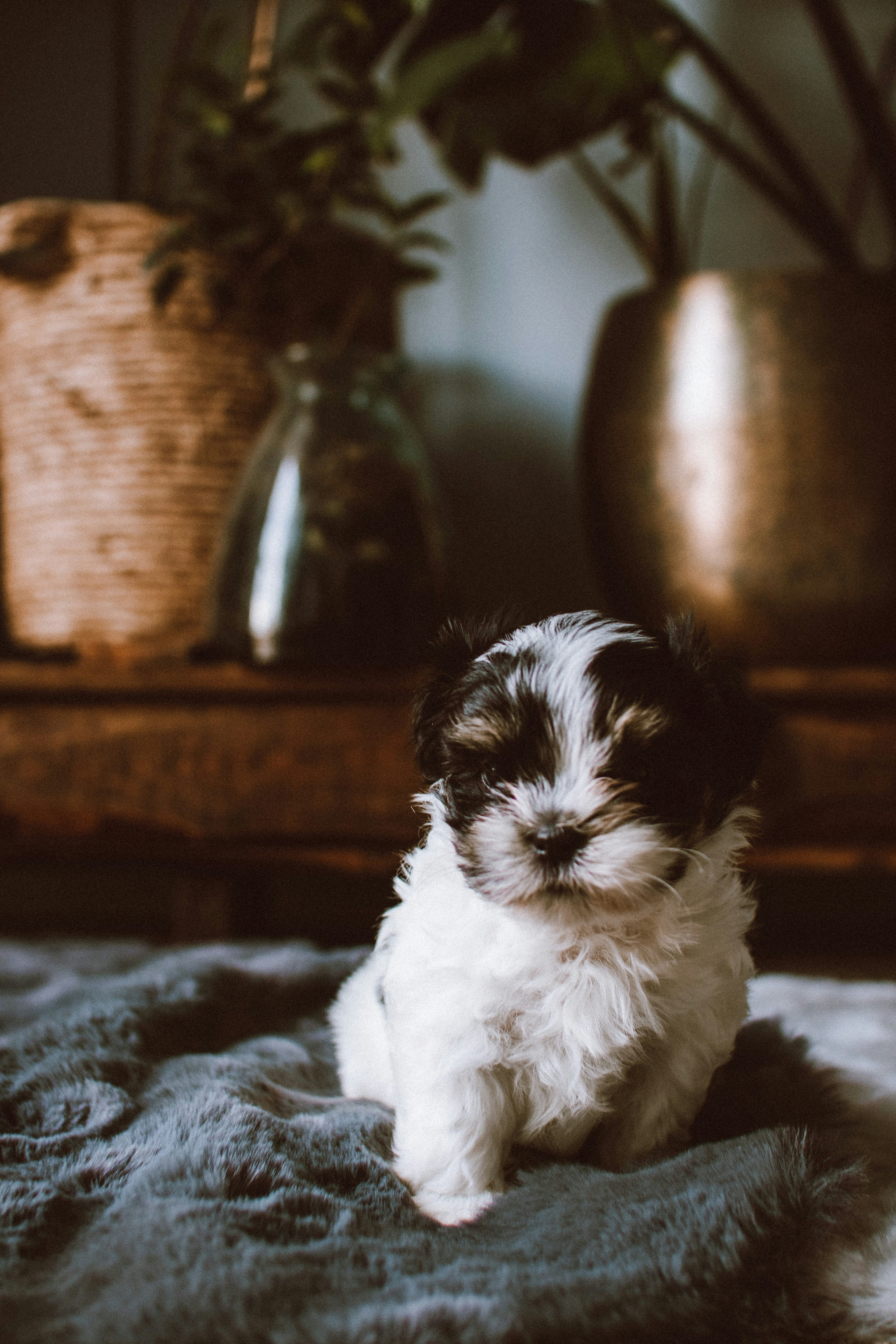 Photo by lanathegraves