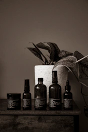 Glass bottles of natural health tonics lined up with dried herbs and mortar and pestle in soft earth tones.