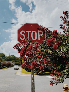 a stop sign is posted on a pole