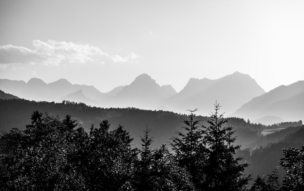 a landscape with trees and mountains in the background