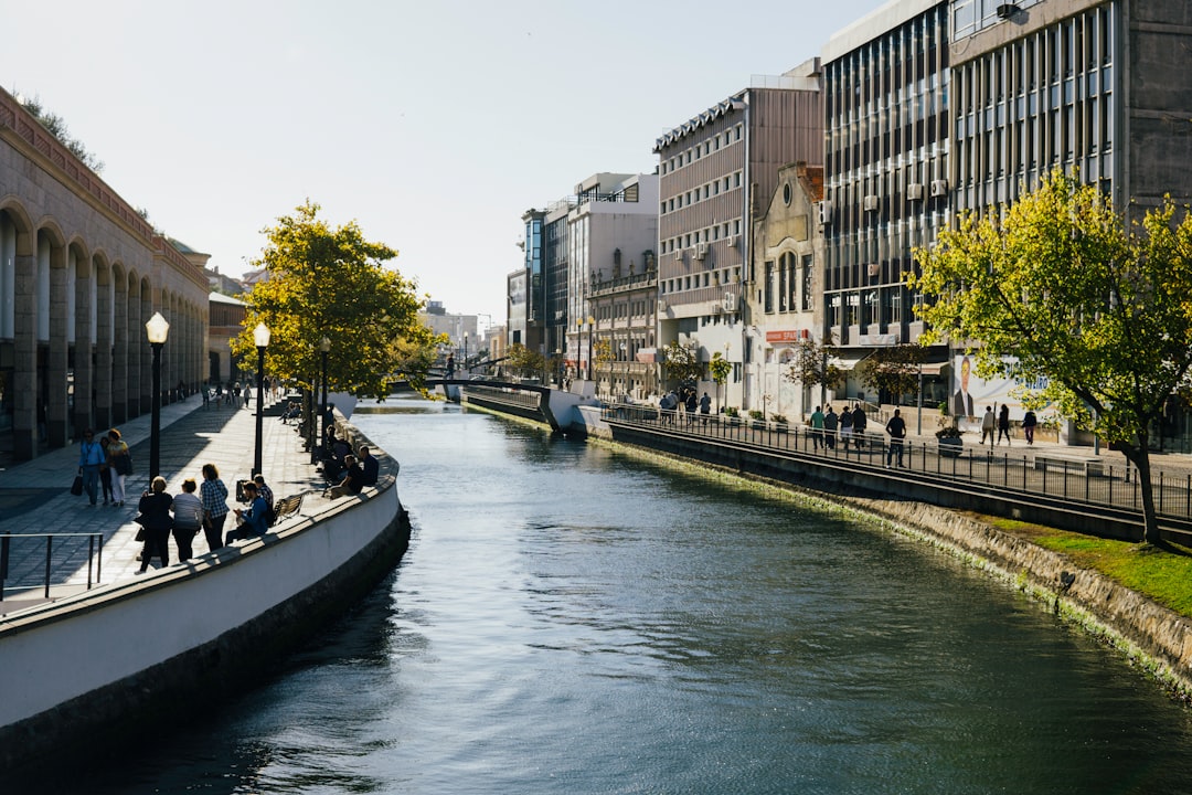 Aveiro spot for road trip in Lisbon