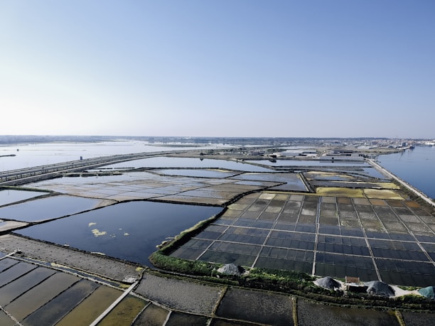 Aerial view of salt evaporation ponds located near a coastal area. The ponds form a grid-like pattern with various sections of different colors, ranging from dark blues to light browns and yellows. The horizon is clear and sky is blue with a few distant structures visible along the shoreline.