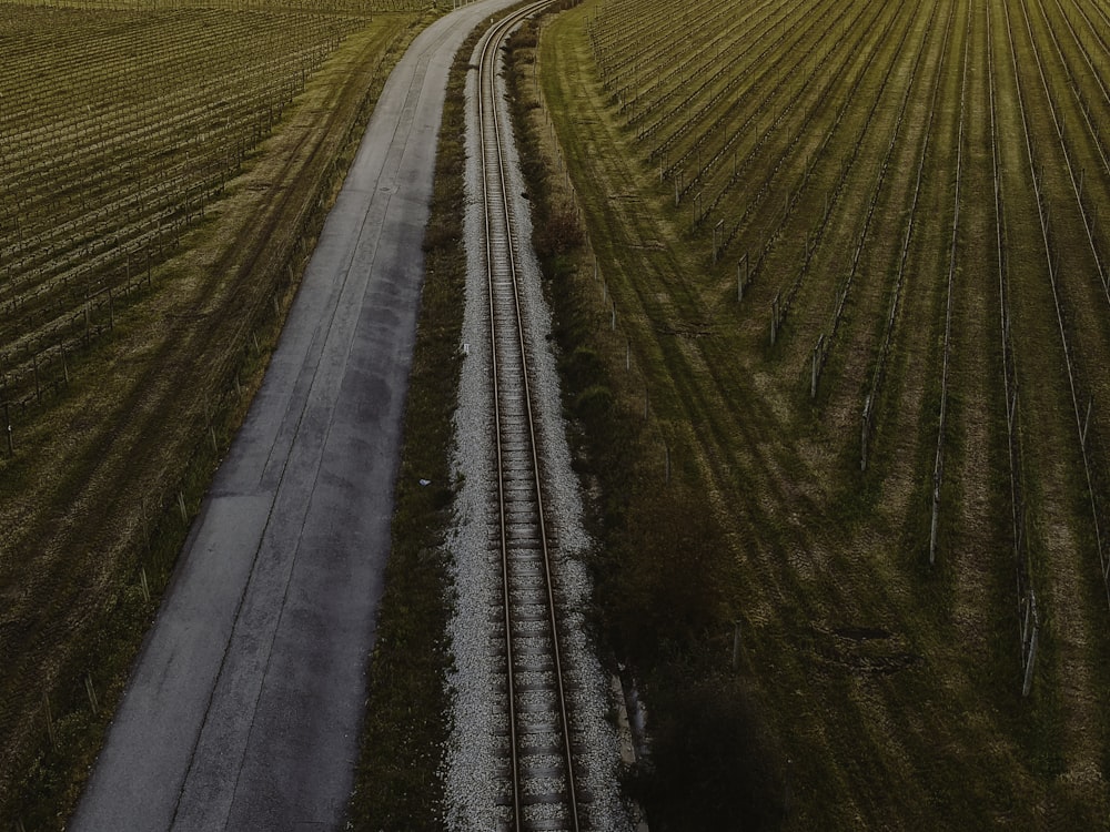 Un tren largo está bajando por las vías