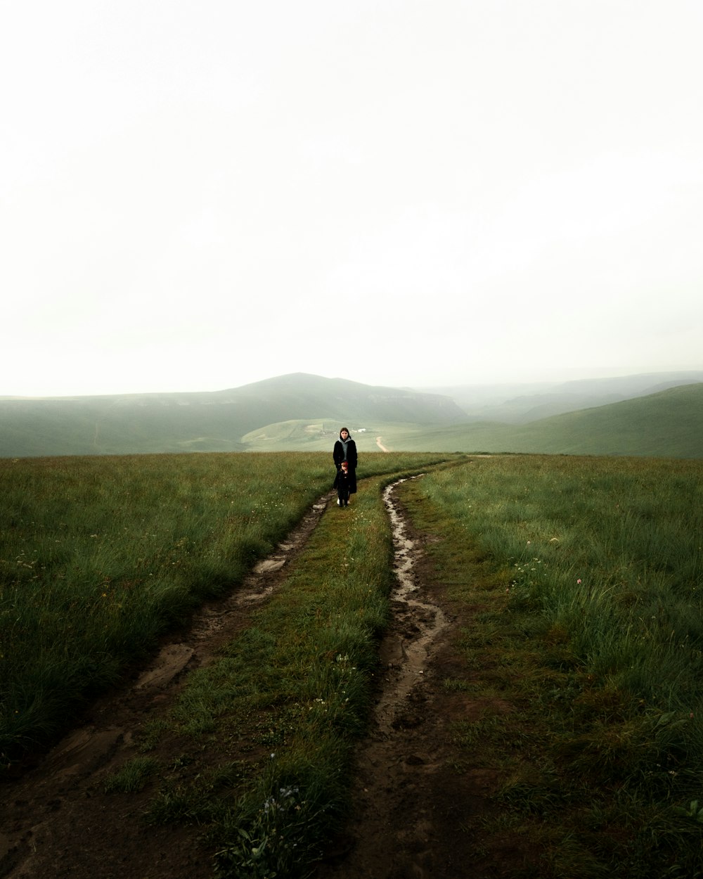 a person walking on a grassy hill