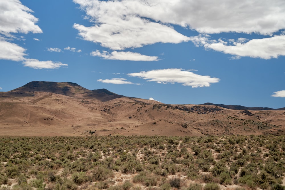 a landscape with hills and bushes