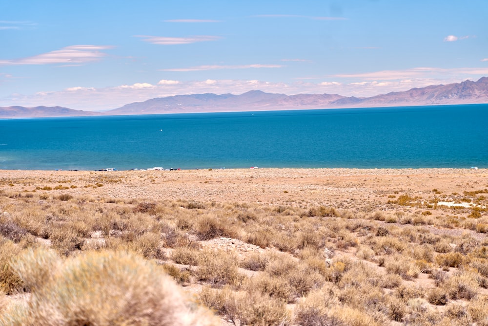 a sandy beach with a body of water in the background