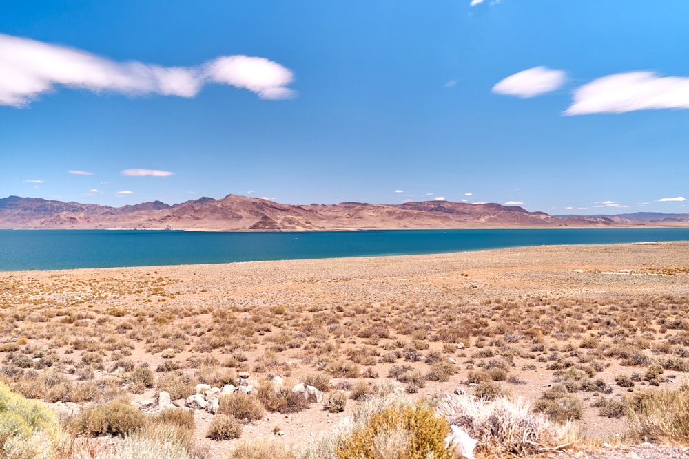 a landscape with a body of water in the background