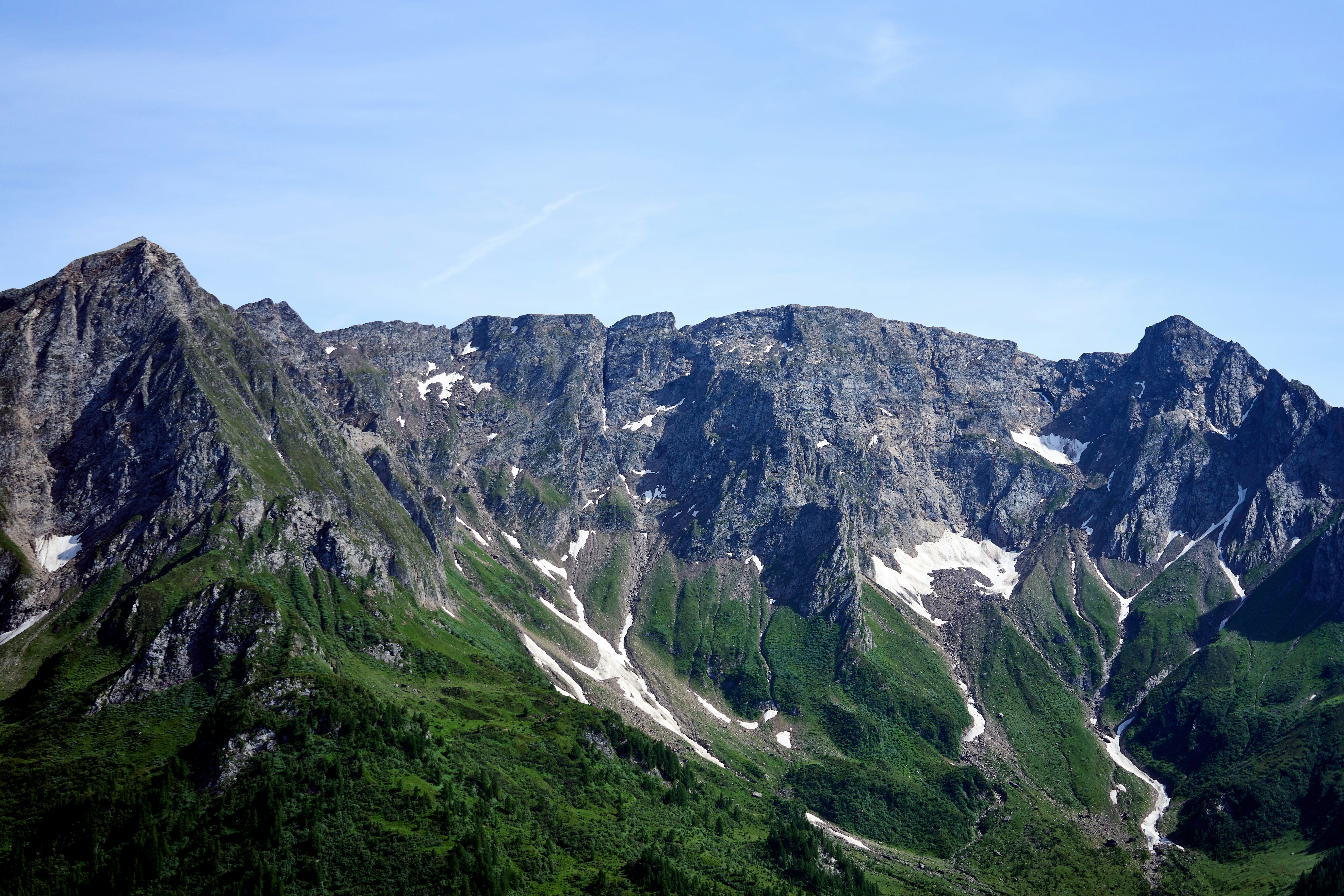 Photo by wolfgang_hasselmann