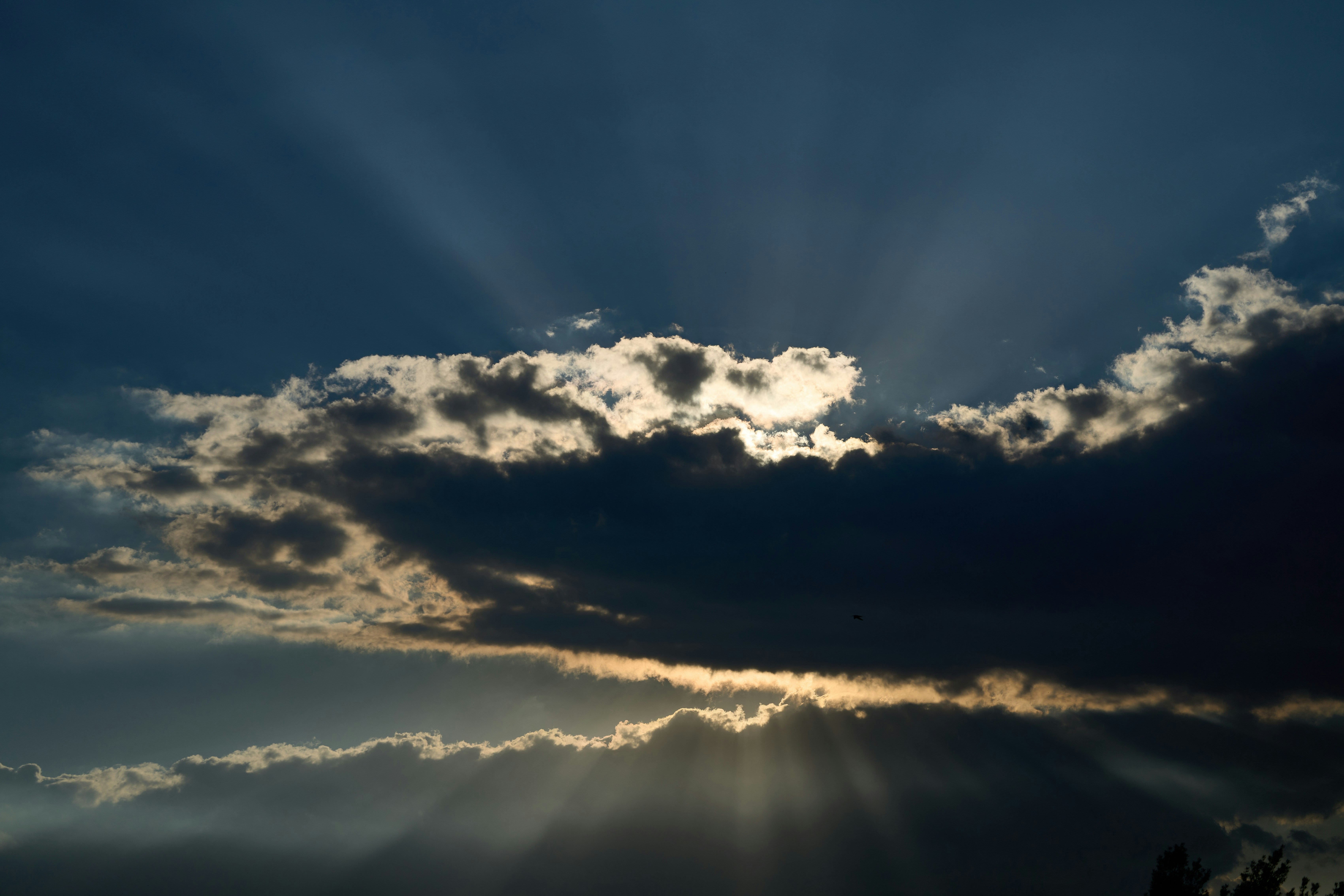 Photo by wolfgang_hasselmann