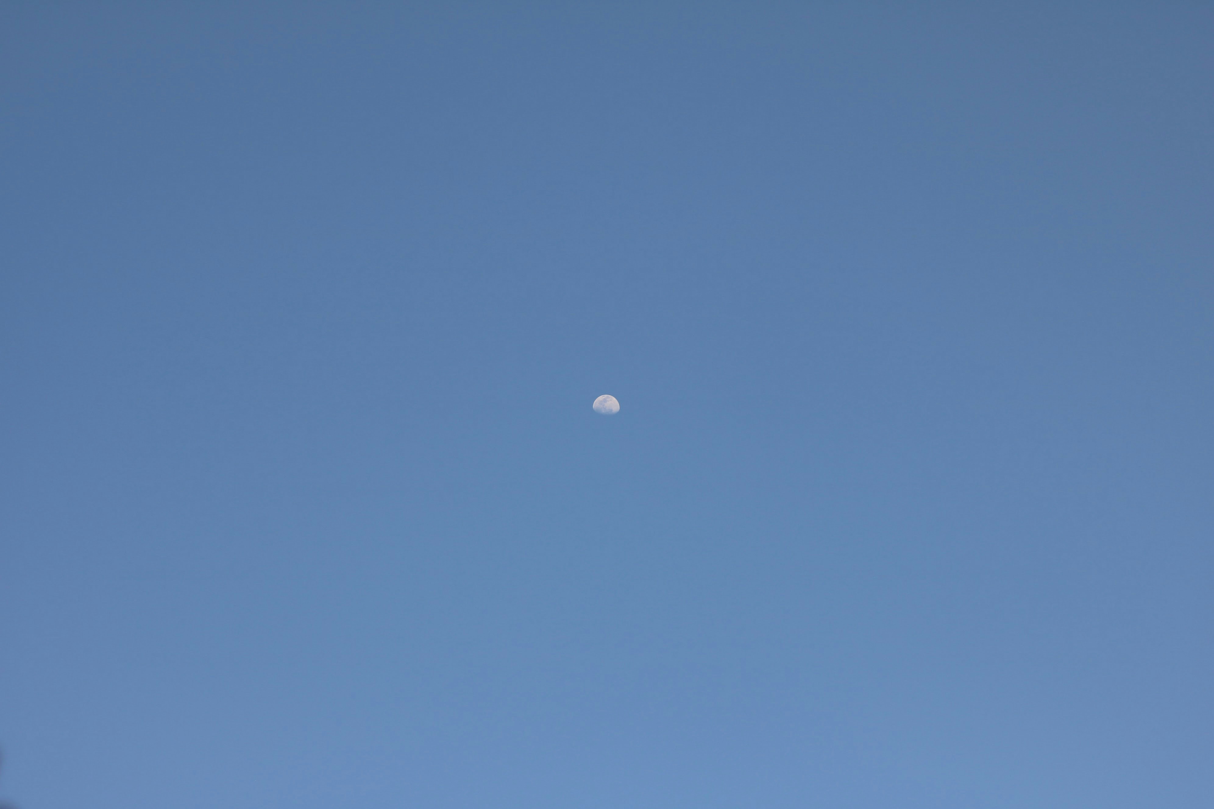 Photo by free_indeed_john8_36