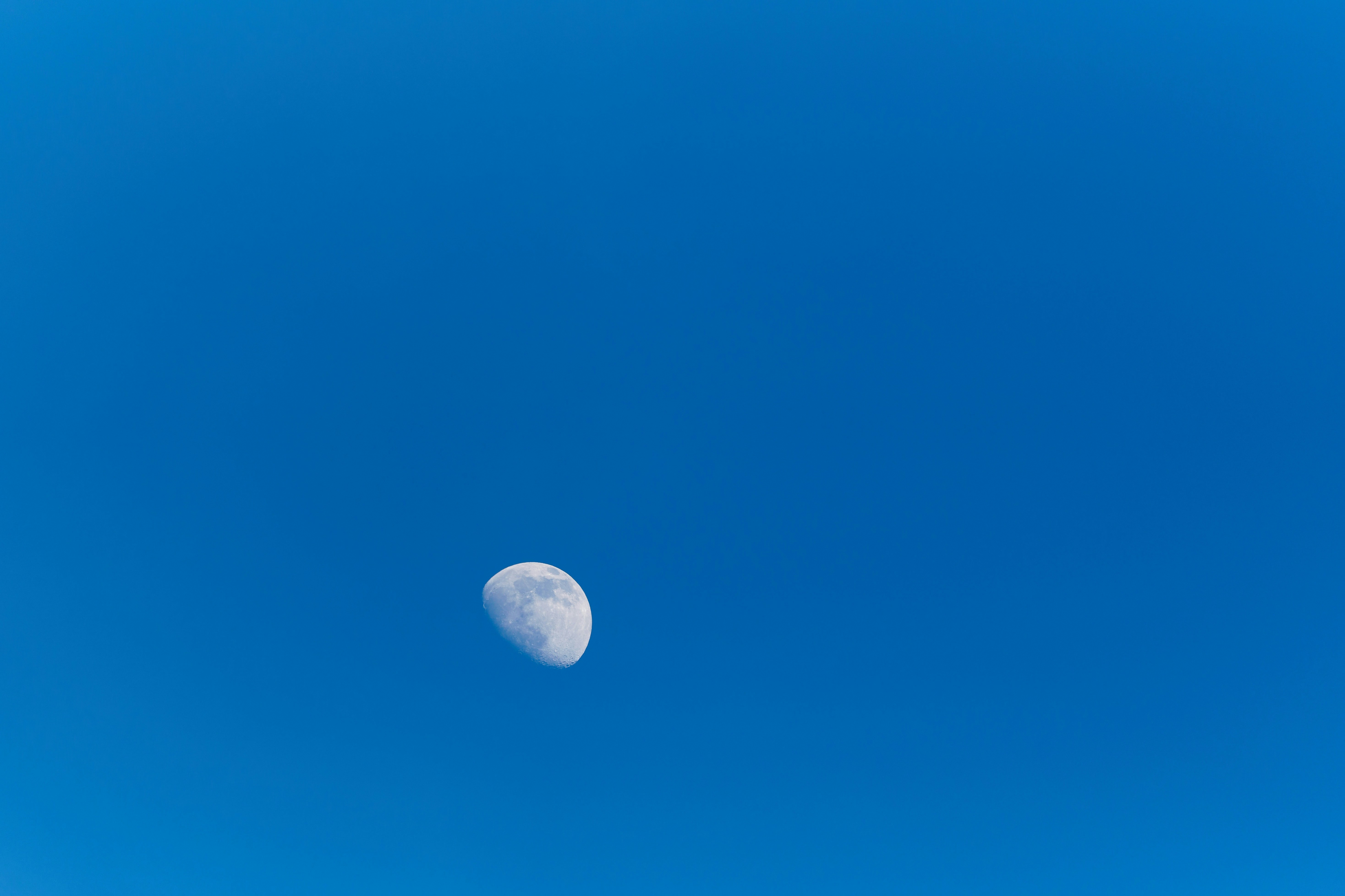 Photo by wolfgang_hasselmann