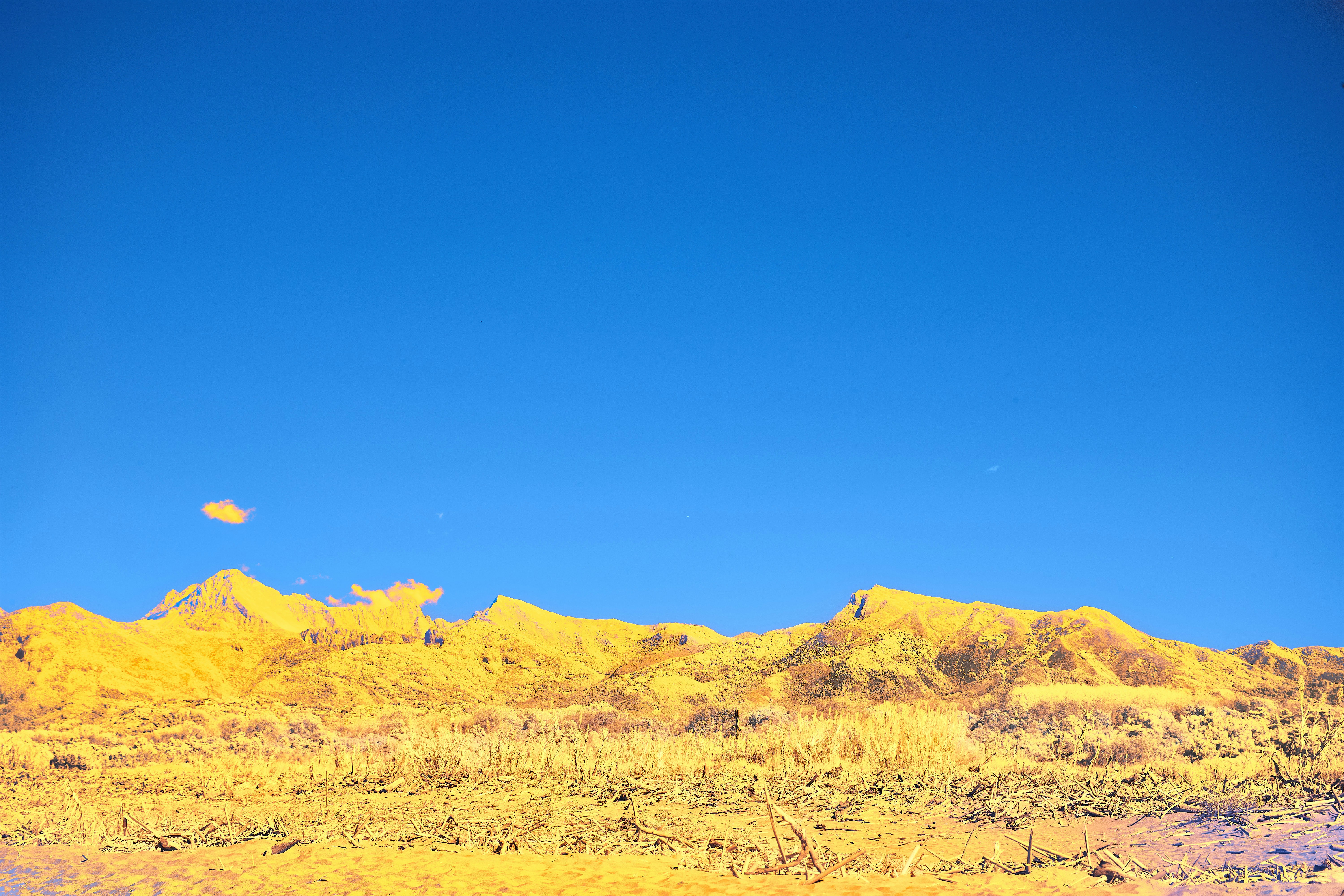 Photo by wolfgang_hasselmann