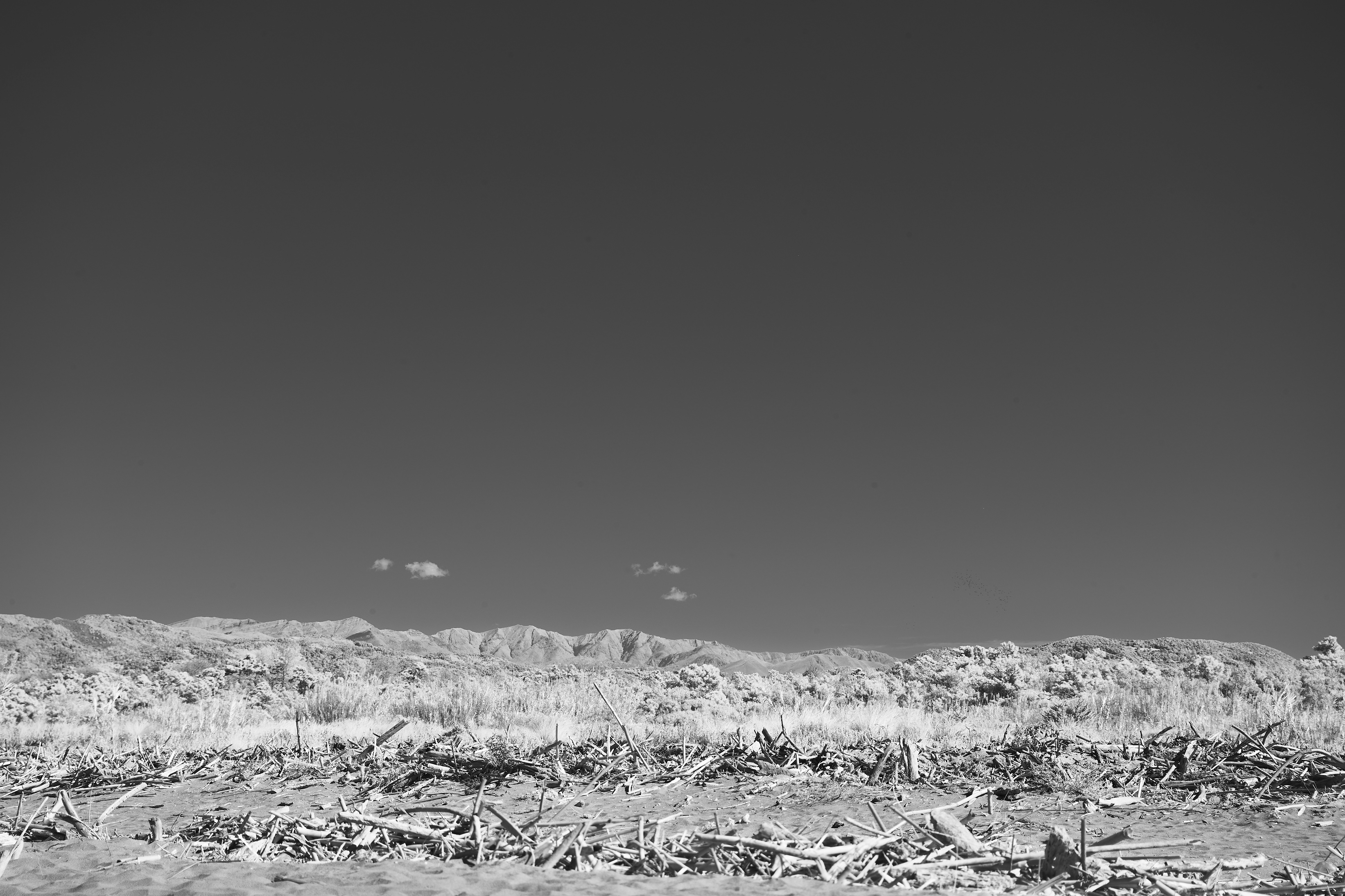 photo-1657394332236-cd92dc1f71e4?ixid=M3wxMjA3fDB8MXxzZWFyY2h8Mnx8bTk4JTIwJUUwJUI5JTgwJUUwJUI4JTgyJUUwJUI5JTg5JUUwJUI4JUIyJUUwJUI4JUFBJUUwJUI4JUI5JUUwJUI5JTg4JUUwJUI4JUEzJUUwJUI4JUIwJUUwJUI4JTlBJUUwJUI4JTlBJTIwJUUwJUI4JUE1JUUwJUI5JTg4JUUwJUI4JUIyJUUwJUI4JUFBJUUwJUI4JUI4JUUwJUI4JTk0fGVufDB8fHx8MTc2NTc5NTkzN3ww\u0026ixlib=rb-4.1.0