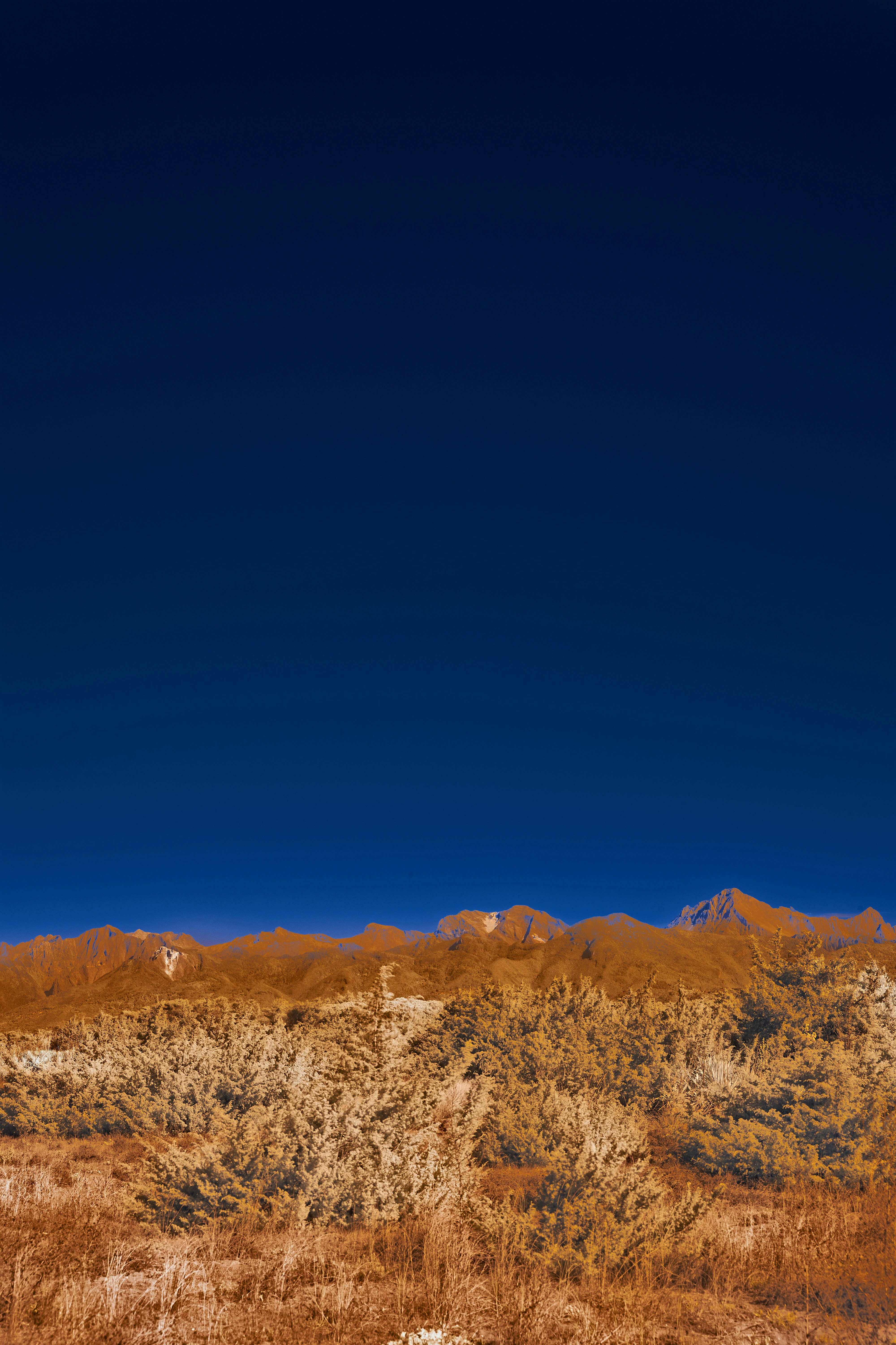 Photo by wolfgang_hasselmann