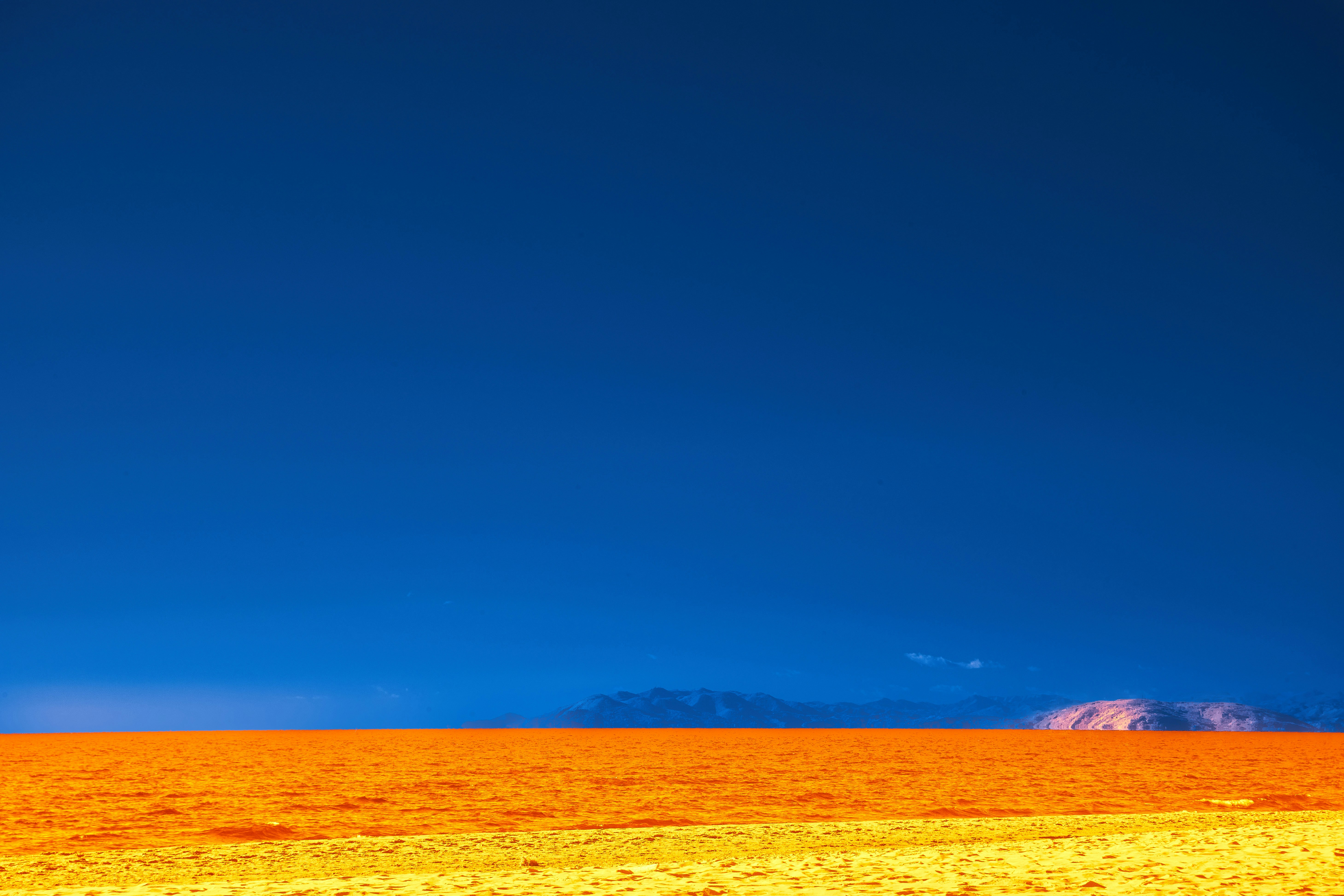 Photo by wolfgang_hasselmann