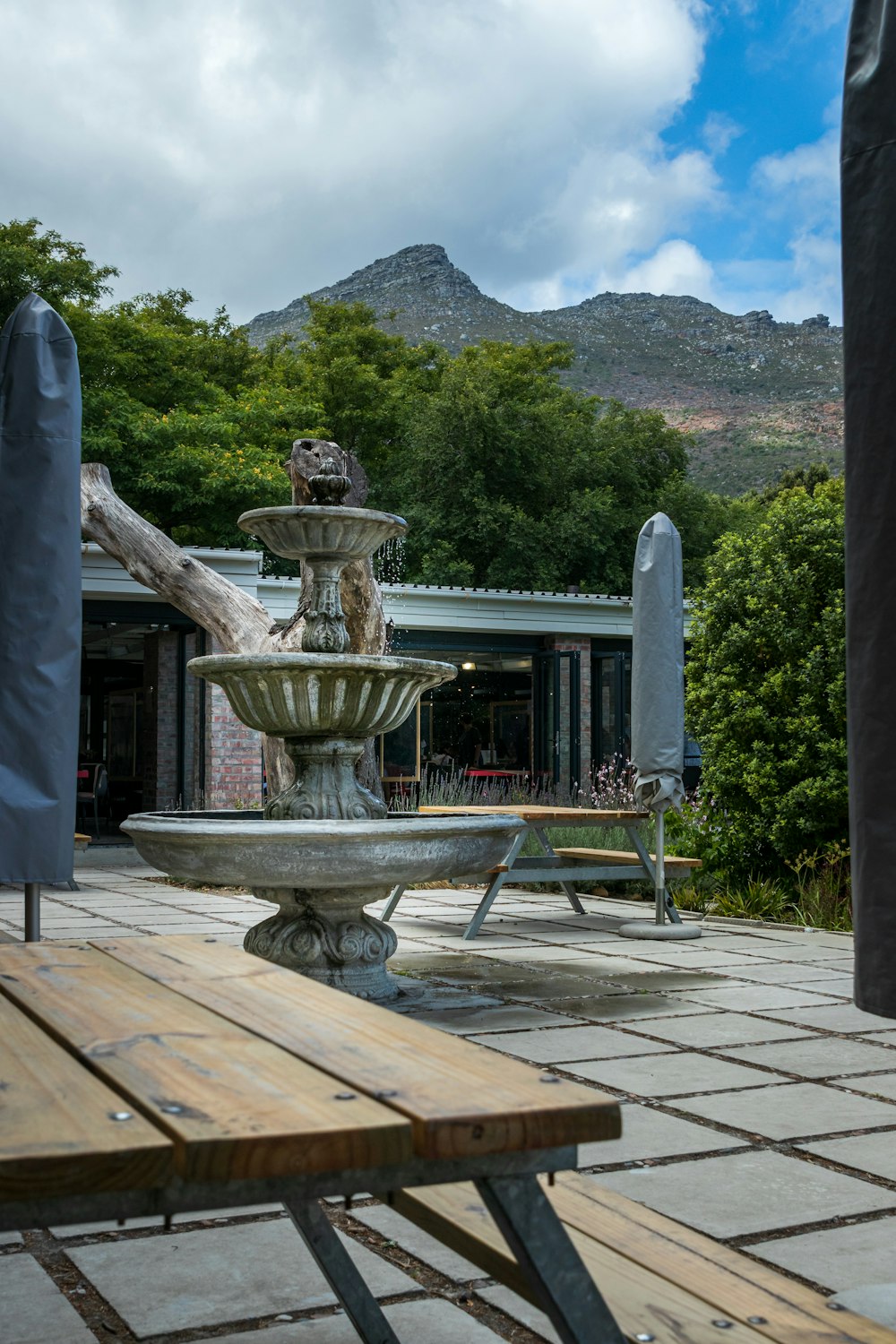 a fountain in a backyard