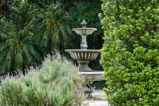 A beautifully arranged garden corner featuring a stone fountain surrounded by lush green plants.