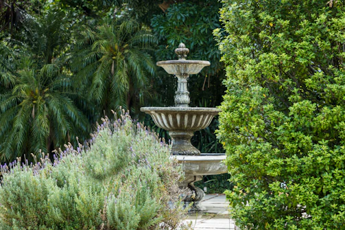A beautifully arranged garden corner featuring a stone fountain surrounded by lush green plants.