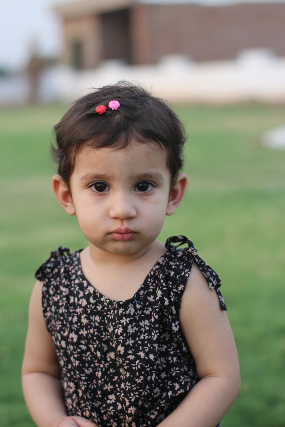A little girl with a flower in her hair photo – Free Baby Image on ...