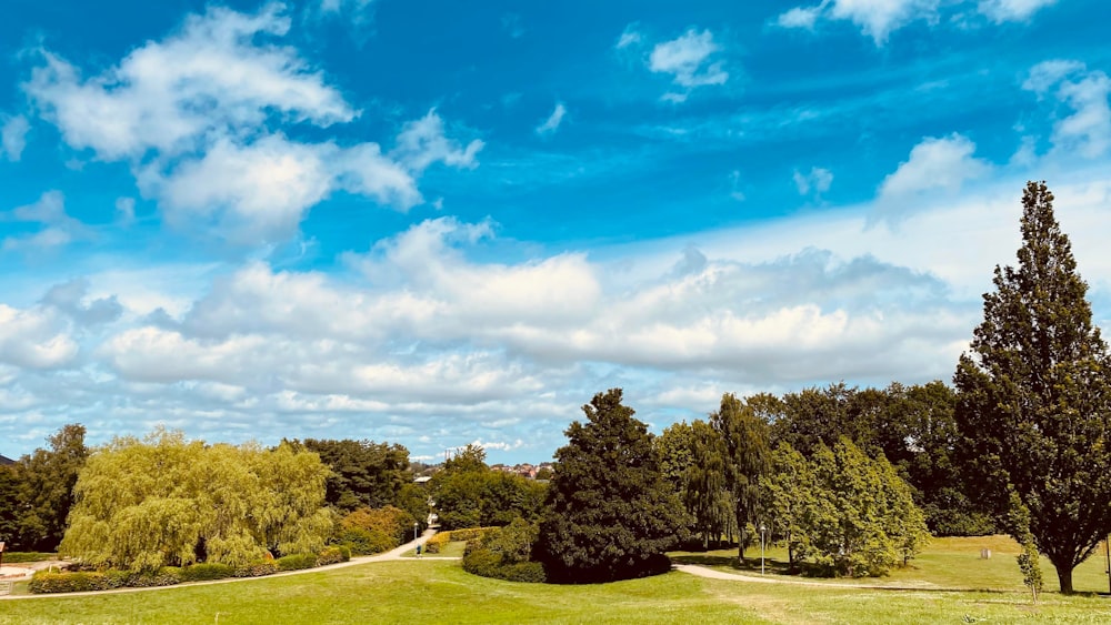 Eine Landschaft mit Bäumen und Gras