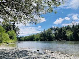 A serene river flows gently amid lush green trees, with the bright blue sky scattered with fluffy white clouds. The riverbank is covered with small rocks and stones, and tree branches extend overhead, creating a peaceful natural canopy.
