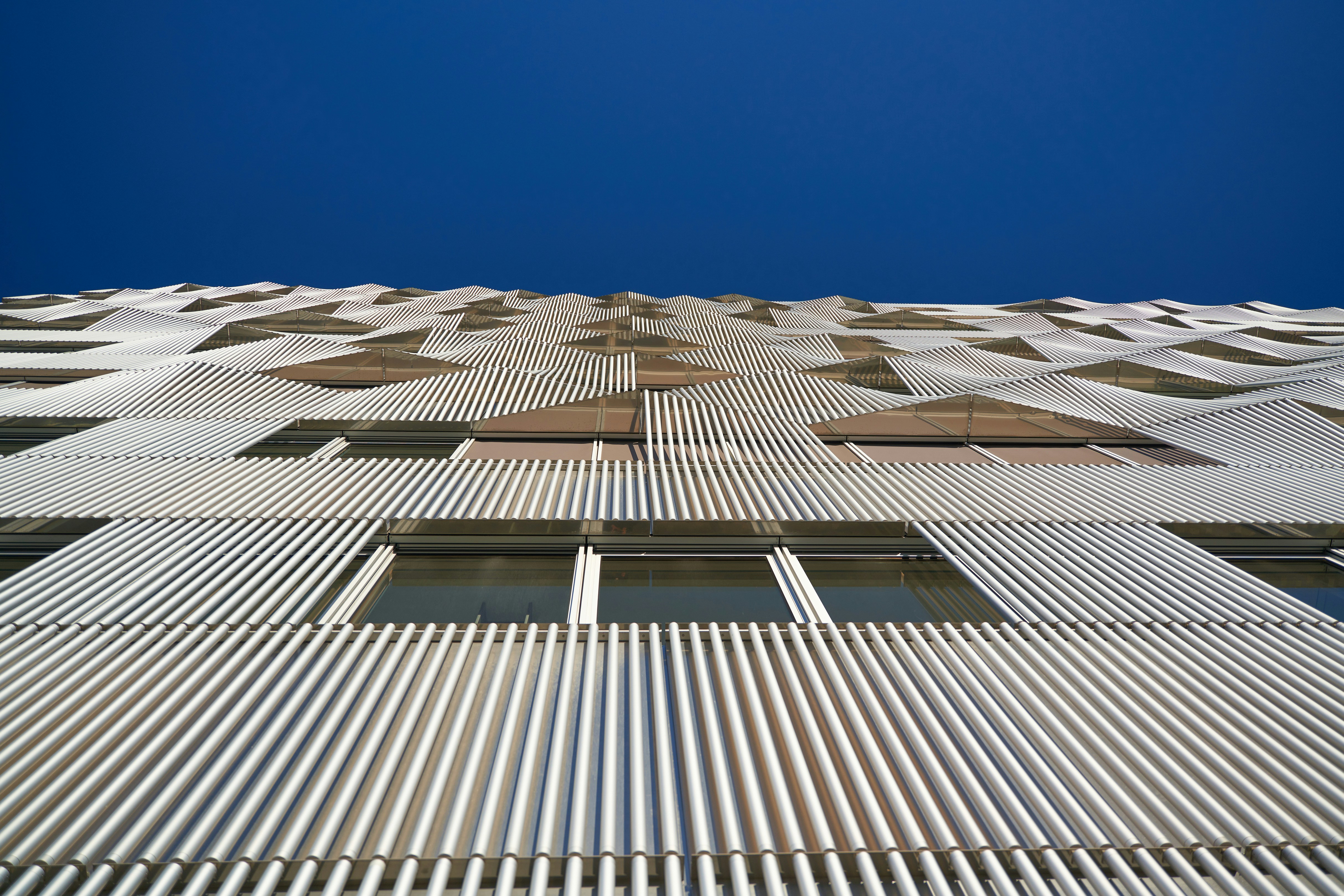 Photo by travelalphawolf